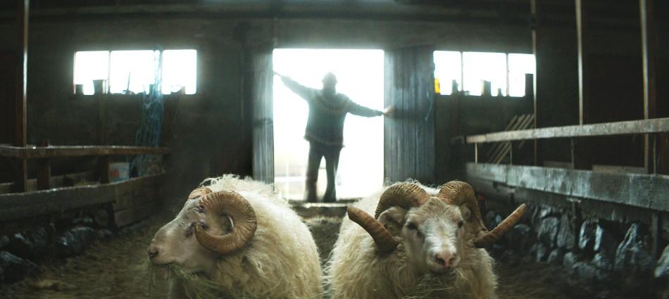 Rams (El valle de los carneros) - Cinema ad hoc