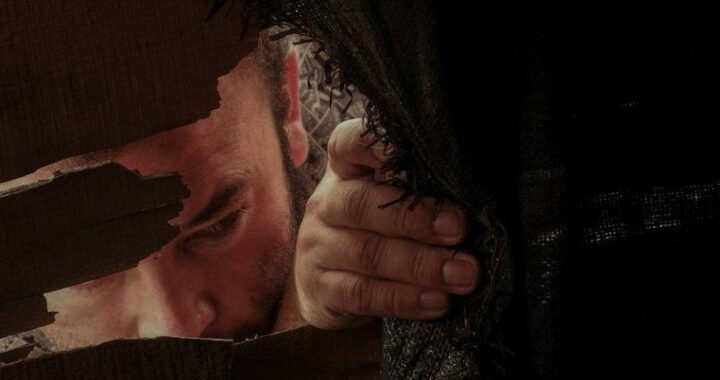 Críticas: La mujer del animal