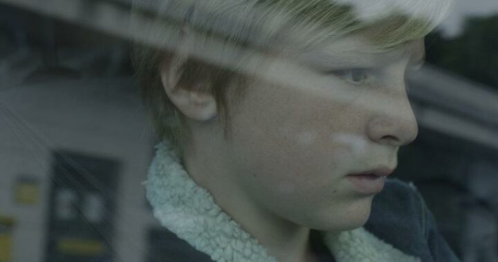 Festival de San Sebastián 2017: Custodia compartida y Sin amor