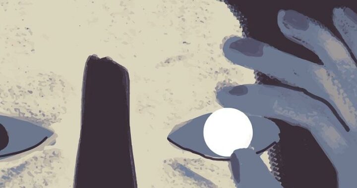 Festival de San Sebastián 2017: Lo que veremos (Perlas)