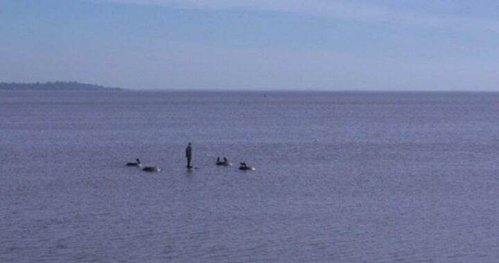 Críticas: Lesa humanidad