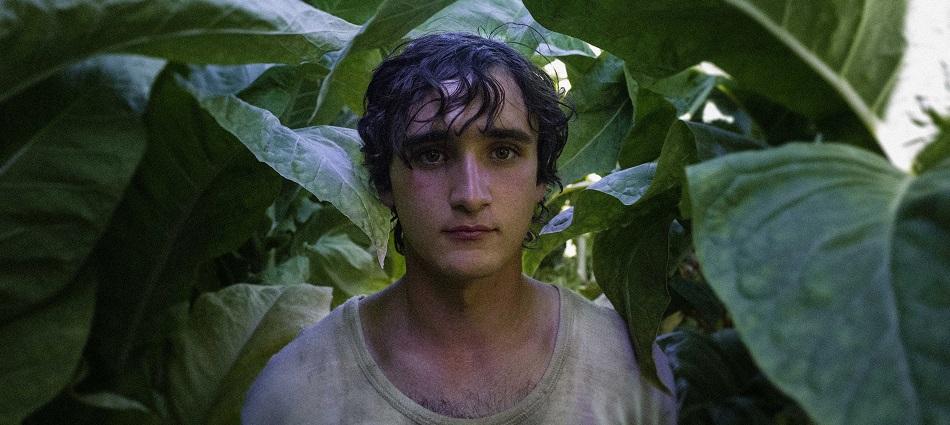 Festival de Sitges 2018: Crónica 3