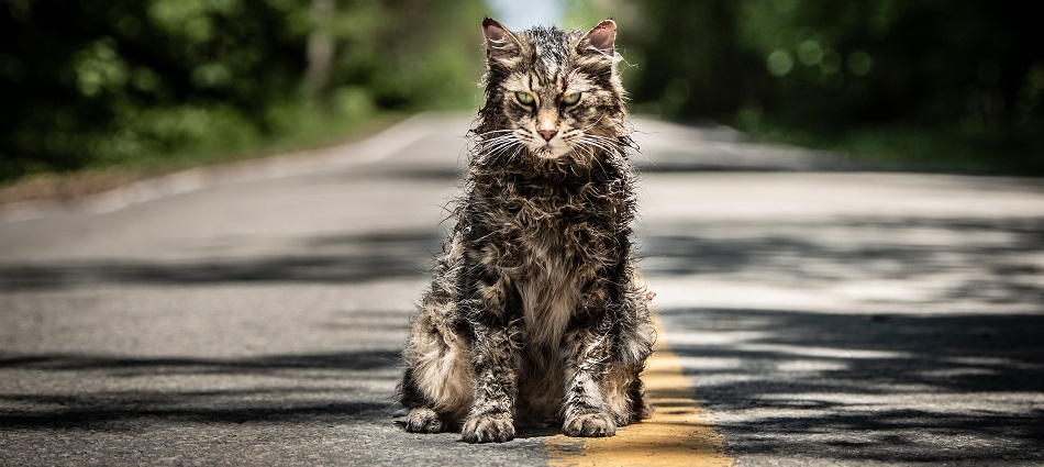 Críticas: Cementerio de animales