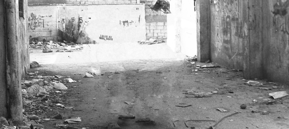 Documenta Madrid 2019: Crónica 4