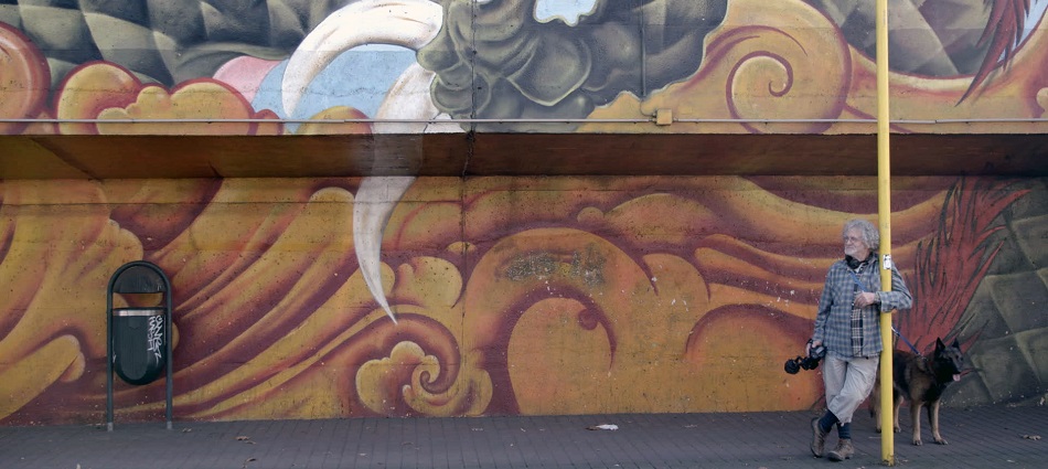 Documenta Madrid 2019: Crónica 1