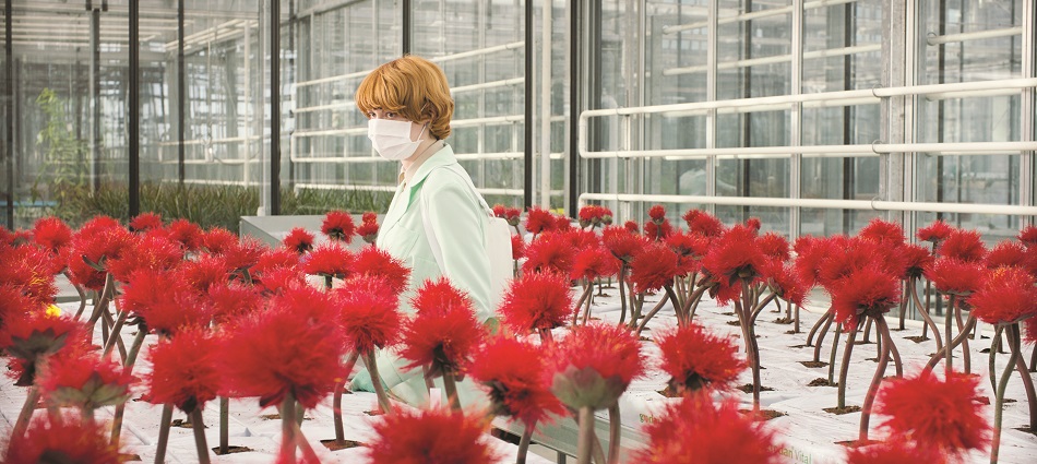 D’A Film Festival 2020: Crónica 2