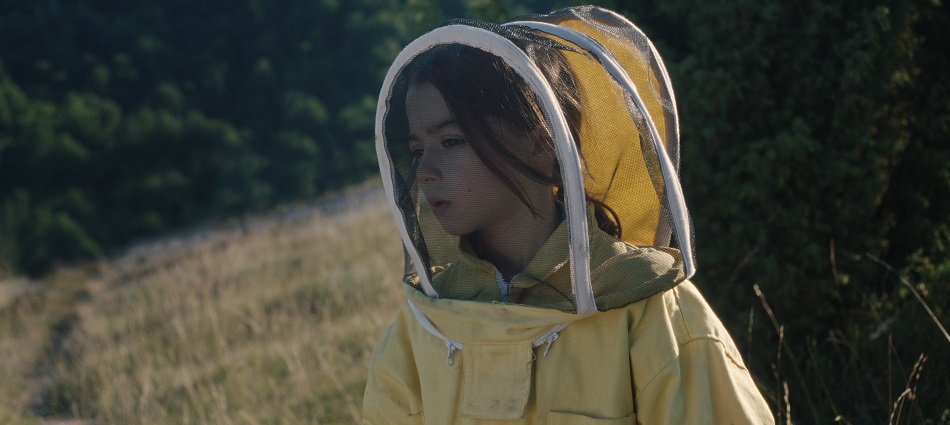 Críticas: 20.000 especies de abejas